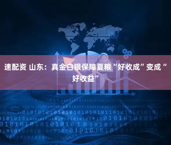 速配资 山东：真金白银保障夏粮“好收成”变成“好收益”