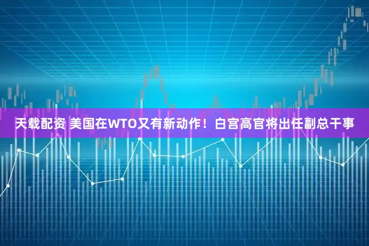 天载配资 美国在WTO又有新动作！白宫高官将出任副总干事